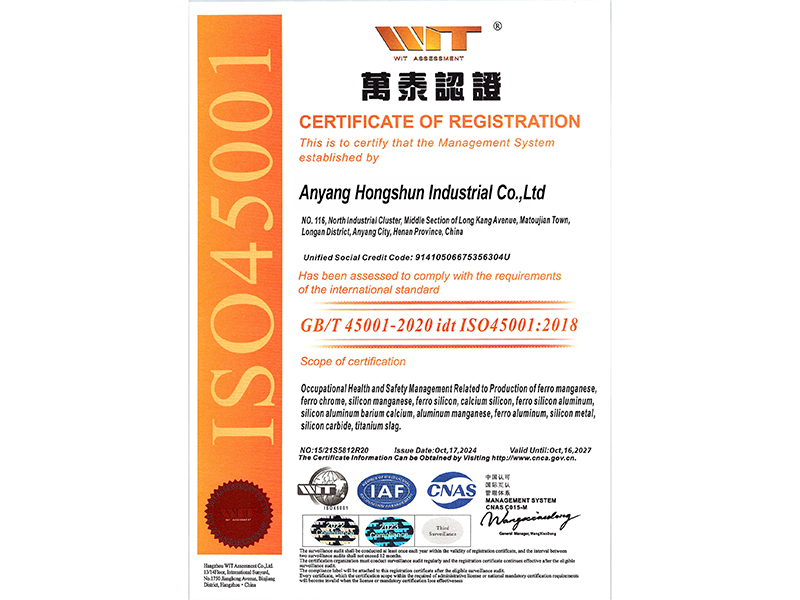 Management system certification